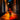 Tail Light